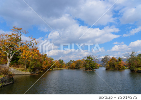 北海道　秋の大沼国定公園と新雪の北海道駒ヶ岳 35014575