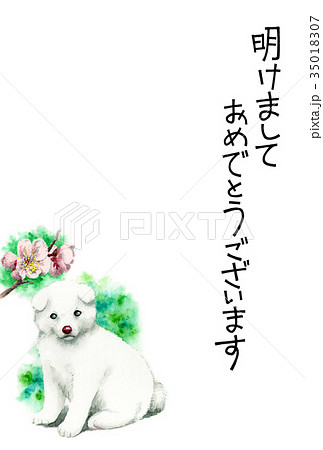 白い子犬の賀詞入り年賀ハガキ素材 白い子犬の賀詞入り年賀ハガキ素材 35018307