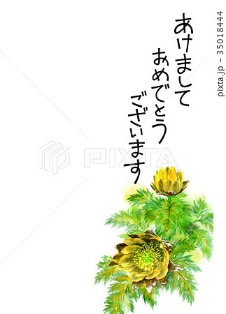 福寿草の賀詞入り年賀ハガキ素材のイラスト素材