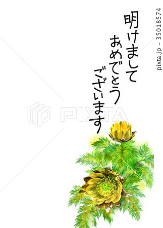 福寿草の賀詞入り年賀ハガキ素材 35018574