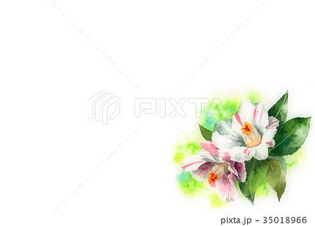 サザンカの年賀ハガキ素材のイラスト素材