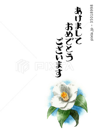 白い椿の賀詞入り年賀ハガキ素材 35018998