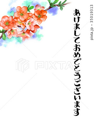 木瓜の花の賀詞入り年賀ハガキ素材 35019313