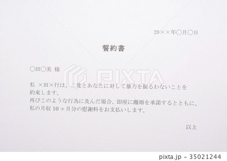 誓約書（DV） 35021244
