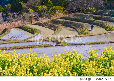 春の大山千枚田　田植えの準備始まる 35021517
