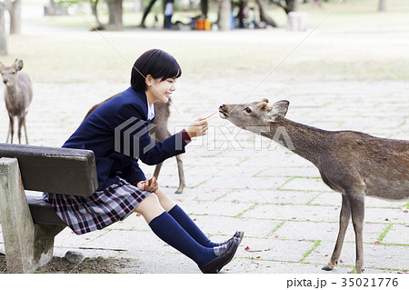 女子高生 35021776