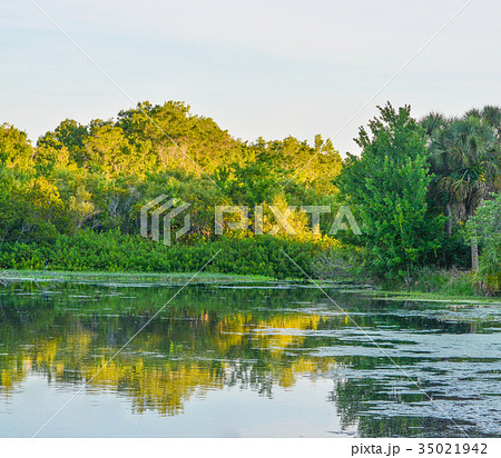 Beautiful day to see the reflection of the trees 35021942