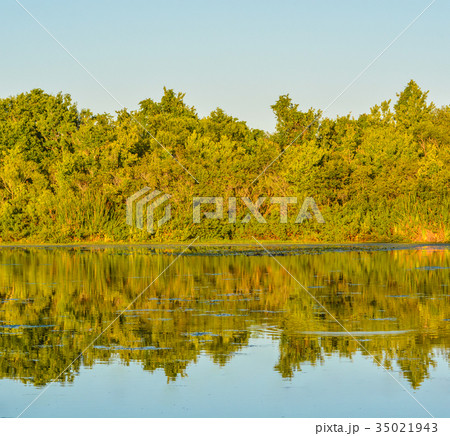 Beautiful day to see the reflection of the trees 35021943