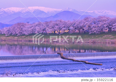 韮神堰、大河原町、一目千本桜、白石川 35022116