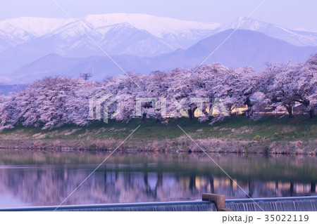 韮神堰、大河原町、一目千本桜、白石川 35022119