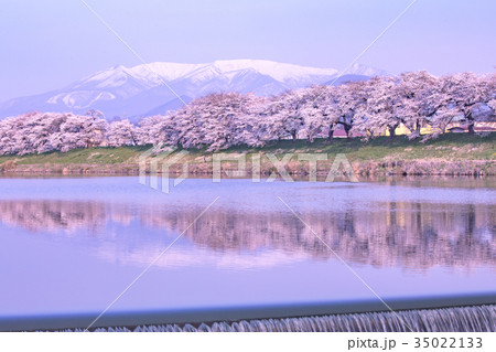 韮神堰、大河原町、一目千本桜、白石川 35022133
