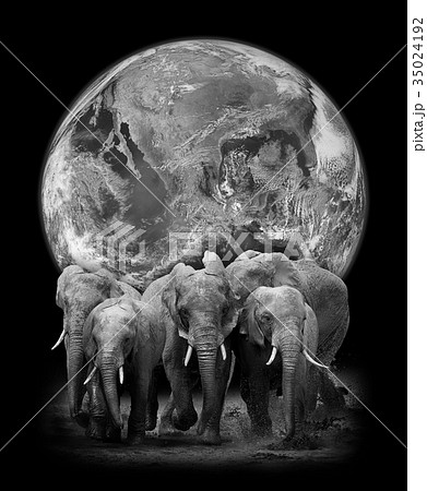 Elephants on the background of the Earth 35024192