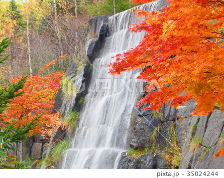 紅葉と滝の秋の風景 紅葉と滝の秋の風景 35024244