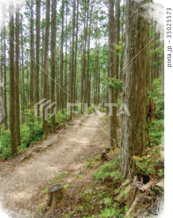 Realism Style Oil Painting; Trail World Heritage  35025573