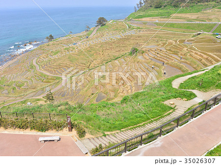 白米の千枚田-27543 35026307