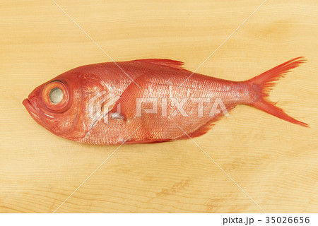 まな板の上の金目鯛 35026656