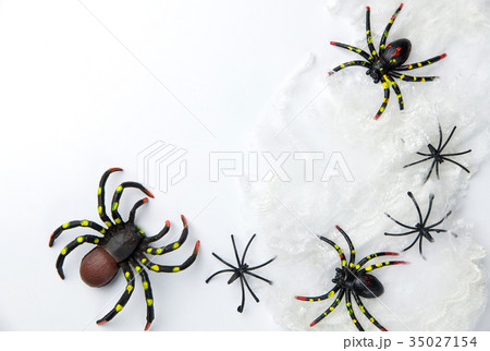 Halloween holiday concept group of spider walk Halloween holiday concept group of spider walk 35027154