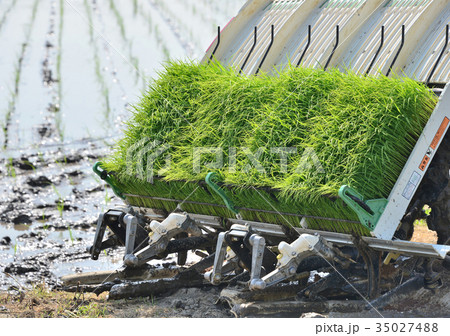 田植え機-19737 35027488