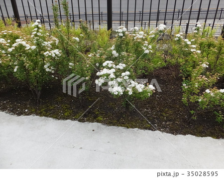 道端の憩い 35028595