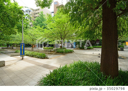 東京都中央区入船 桜川公園 東京都中央区入船 桜川公園 35029798