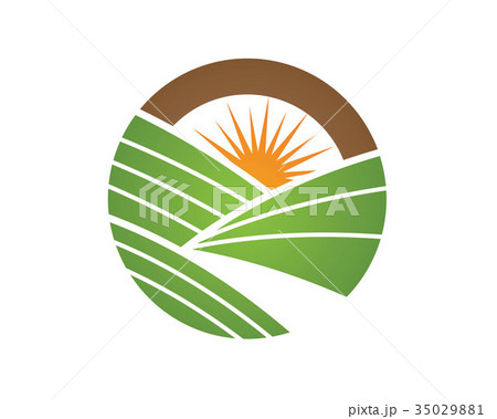 sun Logo Icon Vector Template 35029881
