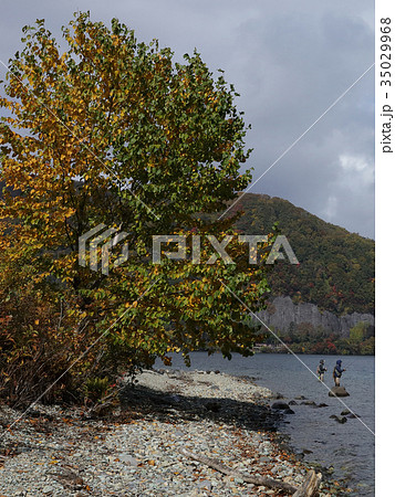 紅葉 十和田湖畔 風景 ニジマス釣り解禁 紅葉 十和田湖畔 風景 ニジマス釣り解禁 35029968