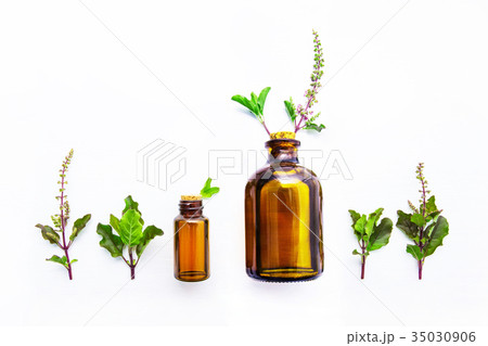 Holy Basil Essential Oil in a Glass Bottle Holy Basil Essential Oil in a Glass Bottle 35030906