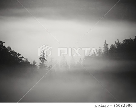 Stripped colorful mist. Forest after rainy night Stripped colorful mist. Forest after rainy night 35032990