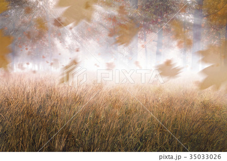 Image of autumn scenery Image of autumn scenery 35033026