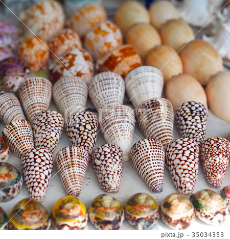 seashells for sale on a beach in Bali 35034353