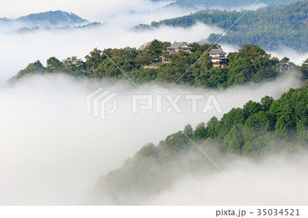備中松山城 -雲海に浮かぶ天空の城- 備中松山城 -雲海に浮かぶ天空の城- 35034521