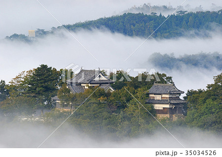備中松山城 -雲海に浮かぶ天空の城- 備中松山城 -雲海に浮かぶ天空の城- 35034526