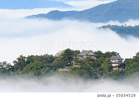 備中松山城 -雲海に浮かぶ天空の城- 備中松山城 -雲海に浮かぶ天空の城- 35034529