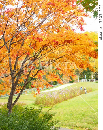 紅葉風景 紅葉風景 35034572