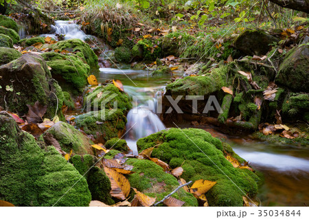 小川 小川 35034844