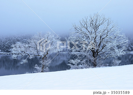 冬の北竜湖 35035589