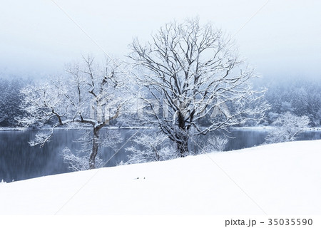 冬の北竜湖 冬の北竜湖 35035590