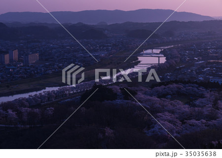 船岡城址公園、柴田町、桜まつり 35035638