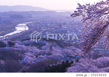 船岡城址公園、柴田町、桜まつり 35035639