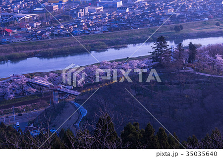 船岡城址公園、柴田町、桜まつり 35035640