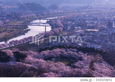 船岡城址公園、柴田町、桜まつり 35035641