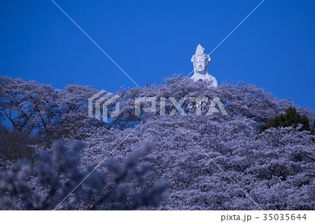 船岡城址公園、柴田町、桜まつり 船岡城址公園、柴田町、桜まつり 35035644