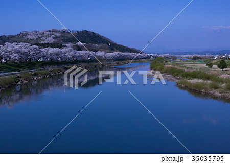 宮城県、一目千本桜、柴田町、桜まつり 35035795