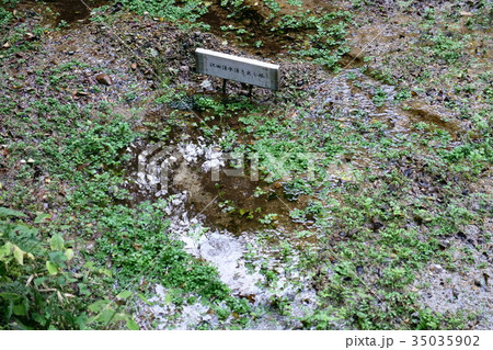 沢田湧水地　源頭部 35035902