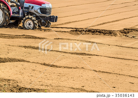 土をならした畑 35036143