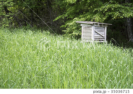 草むらの百葉箱 35036715