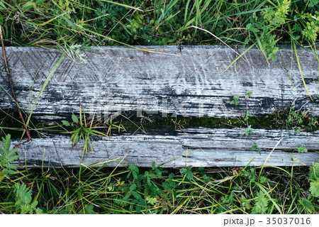 Wooden board of wide wood, background with green Wooden board of wide wood, background with green 35037016