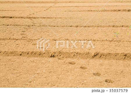 土をならした畑 35037579