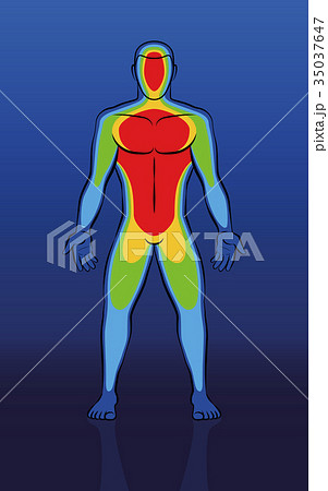 Thermal Image Male Body Front View 35037647