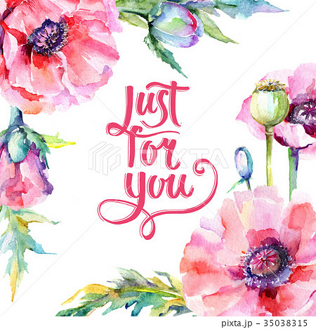 Wildflower poppy flower frame in a watercolor Wildflower poppy flower frame in a watercolor 35038315